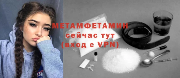 сатива Чита