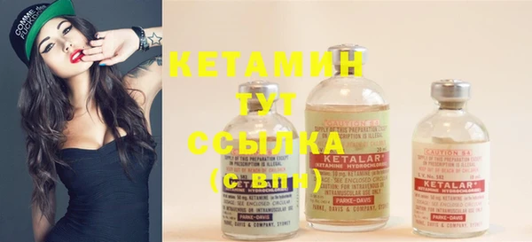 сатива Чита