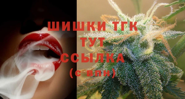 молекула духа Струнино
