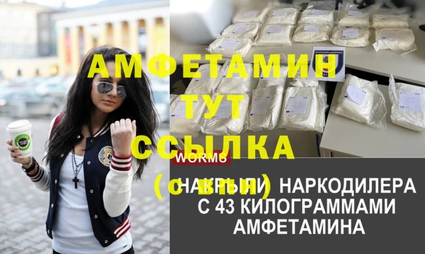 молекула духа Струнино