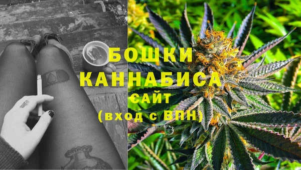 сатива Чита